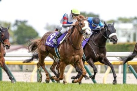 2026年7月4日（土）注目馬☆推薦馬＆参考買い目