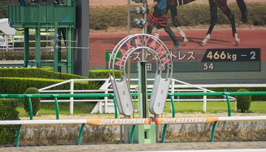 中山１１レース