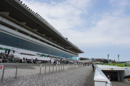 2026年2月14日（土）注目馬☆推薦馬＆参考買い目
