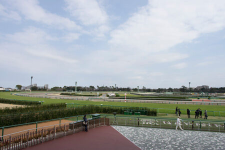 2026年3月14日（土）注目馬☆推薦馬＆参考買い目