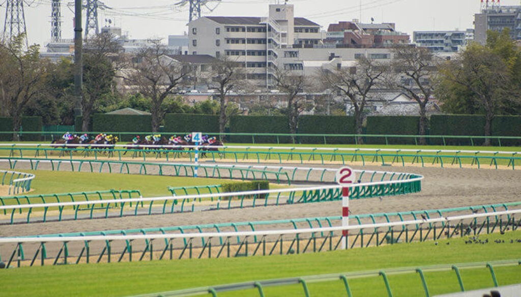 競馬場