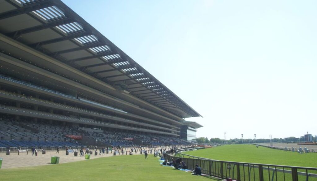 東京競馬場　ヴィクトリアマイル