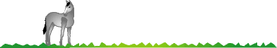 line-ashige-ライン