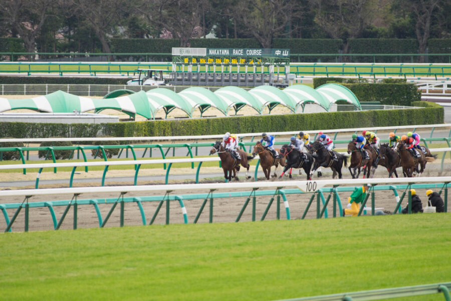 2026年2月15日（日）注目馬☆推薦馬＆参考買い目
