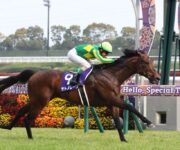 高松宮記念