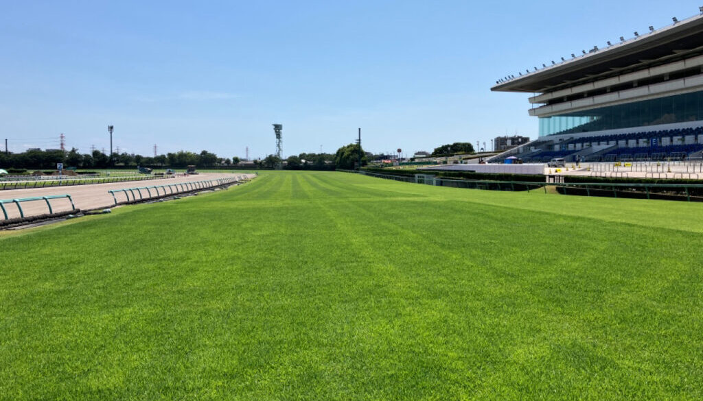 中山競馬