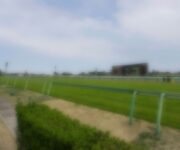 photo0000-4217-1