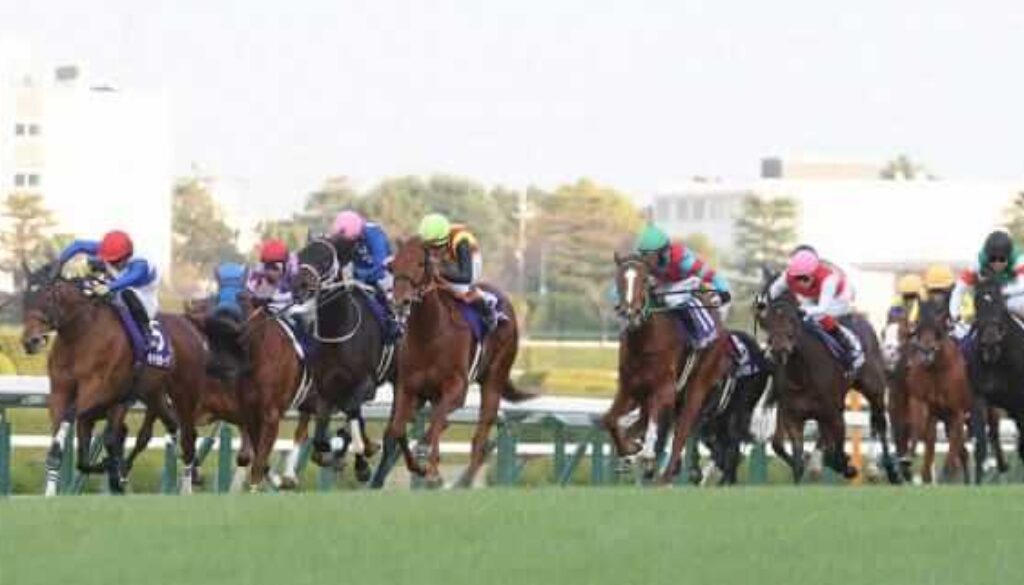 阪神競馬場2