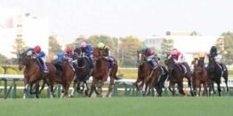 阪神競馬場2