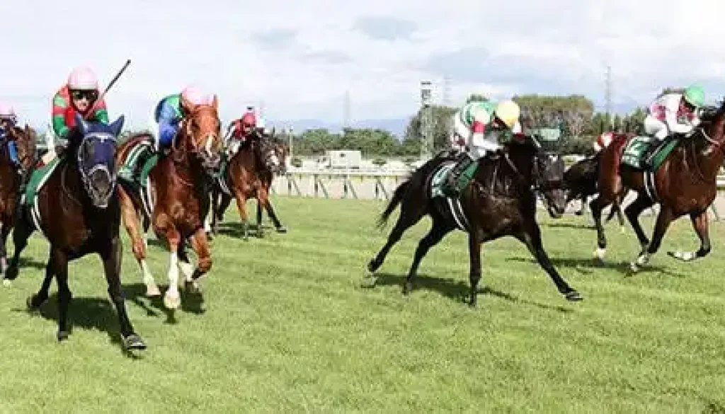 東京競馬