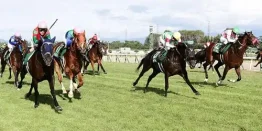東京競馬