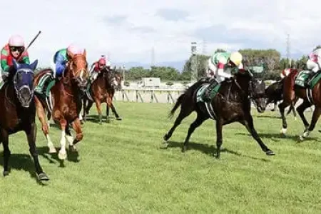 2026年5月31日（日）注目馬☆推薦馬＆参考買い目