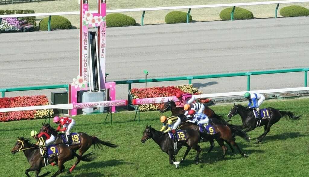 阪神競馬