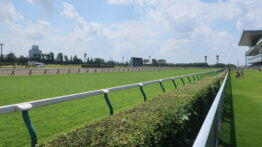 札幌競馬場